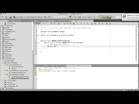 ACCESS REMOTE WEBSERVICES? PERFORM OPERATIONS ON THE SERVER?